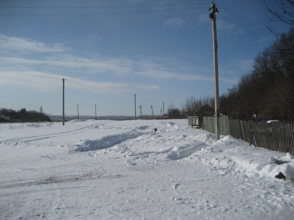 Серебрянные пруды,ул.Коровушкина