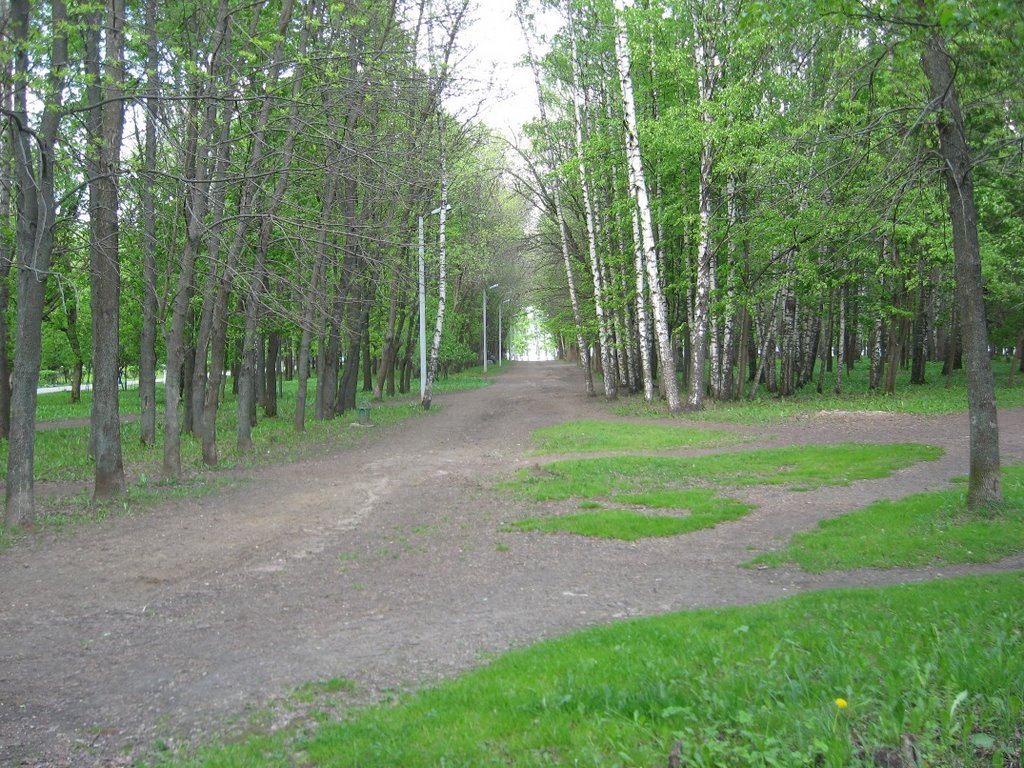 Солнечногорск