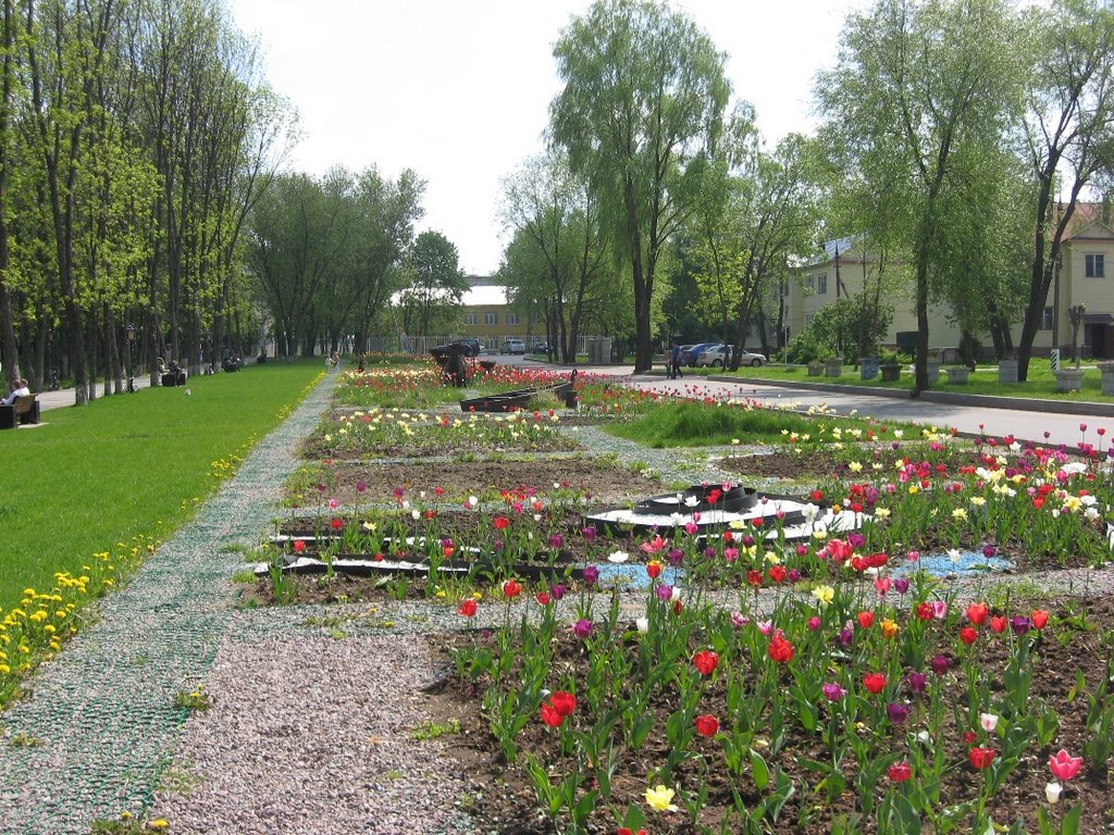 Солнечногорск