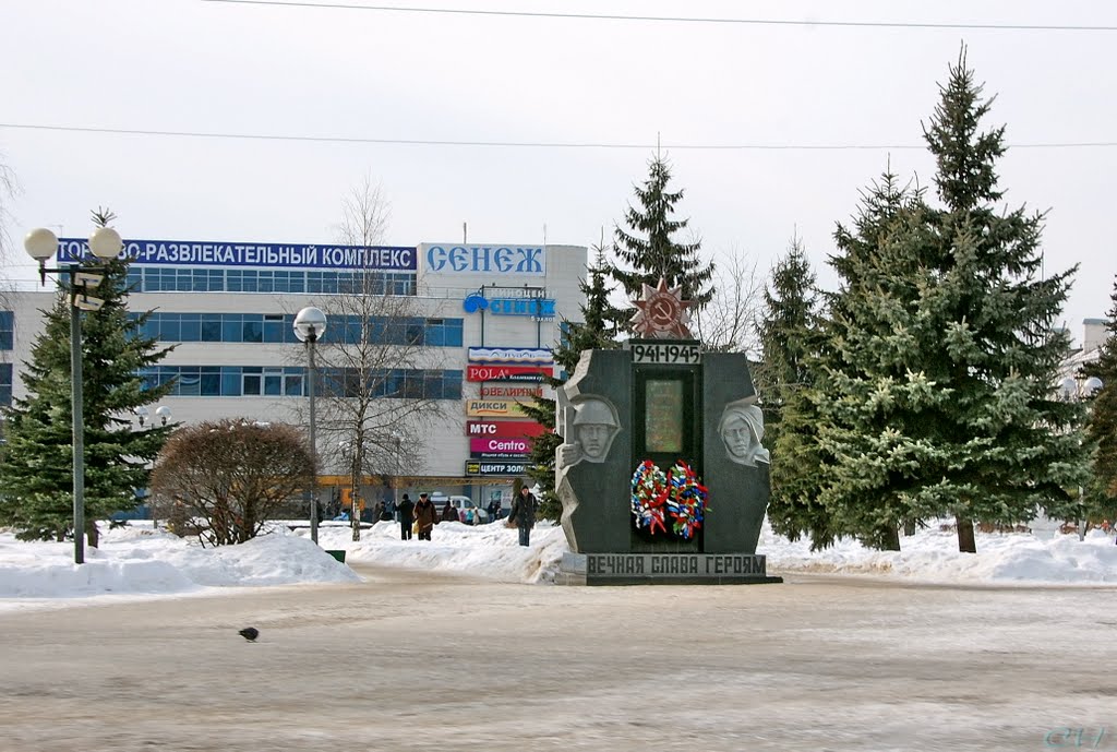 Солнечногорск. Вечный огонь