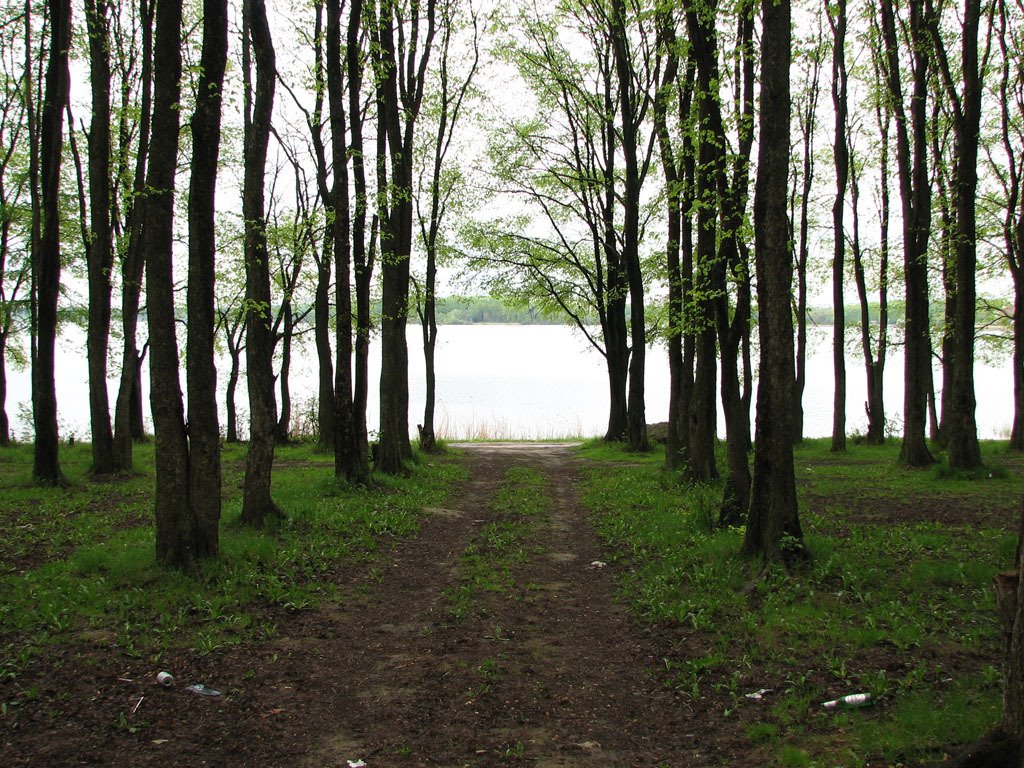 Solnechnogorsk, lake Senezh.2