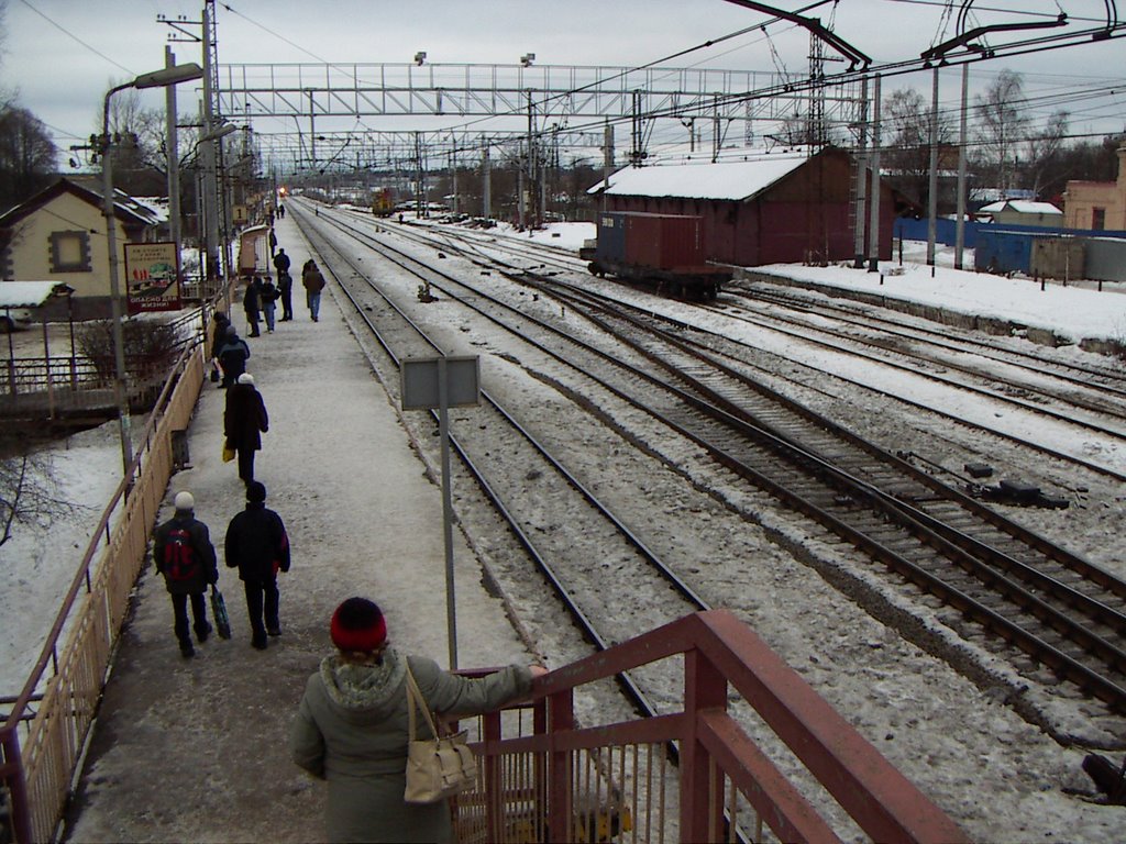 Podsolnechnaya station, pedestrian overpass