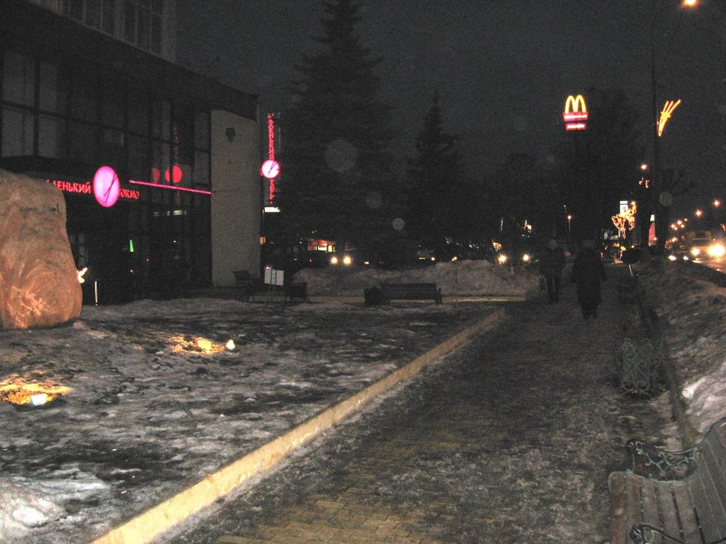 г.Солнечногорск