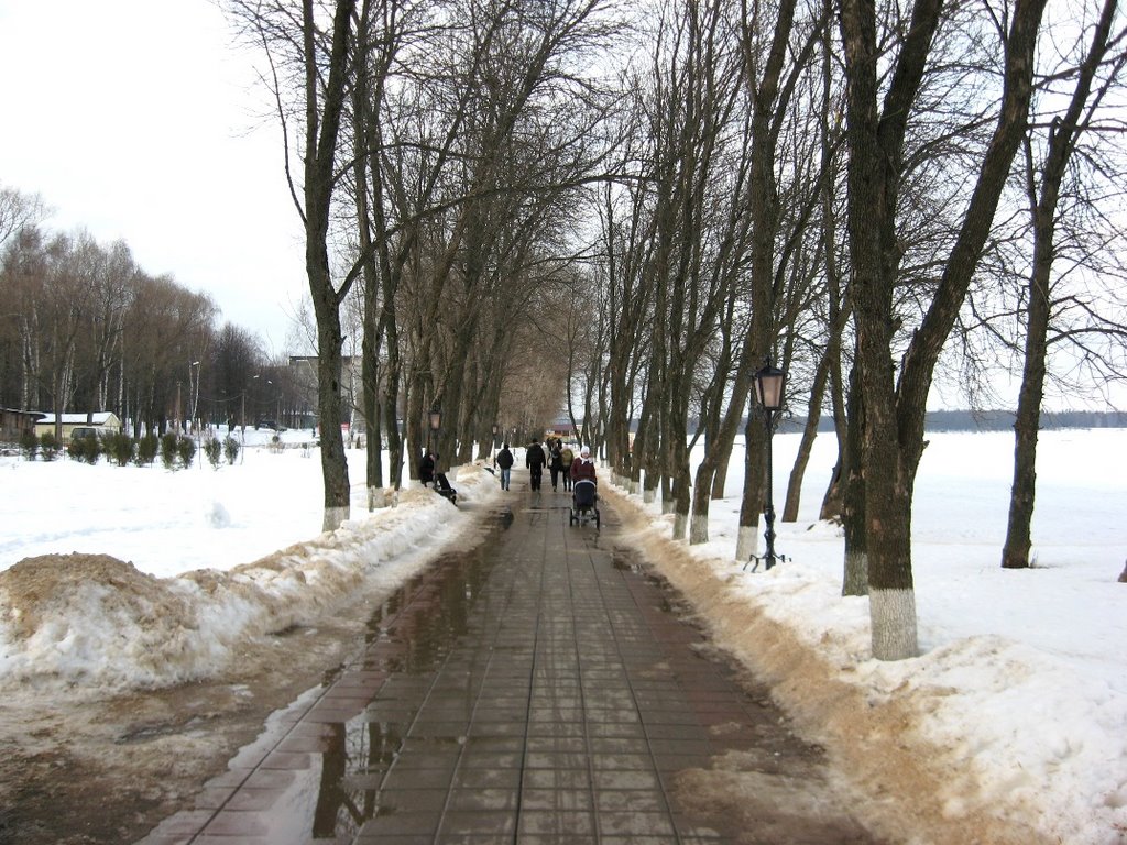г.Солнечногорск озеро Сенеж