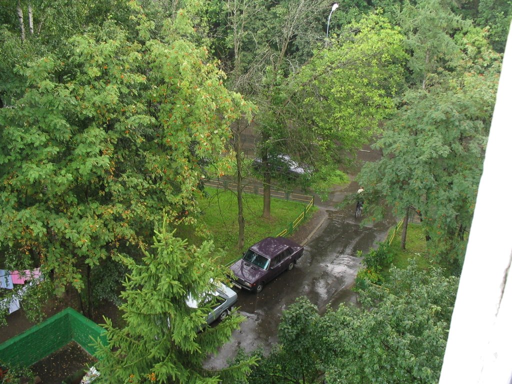Bogdanova street