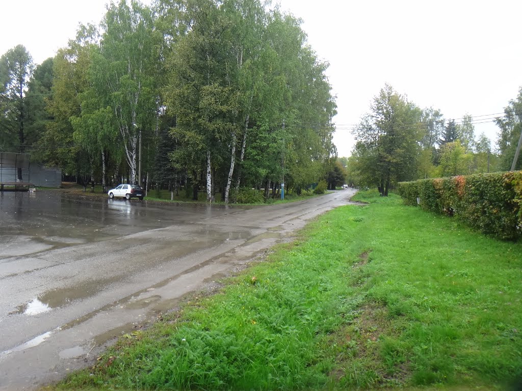 Улица Патриарха Пимена