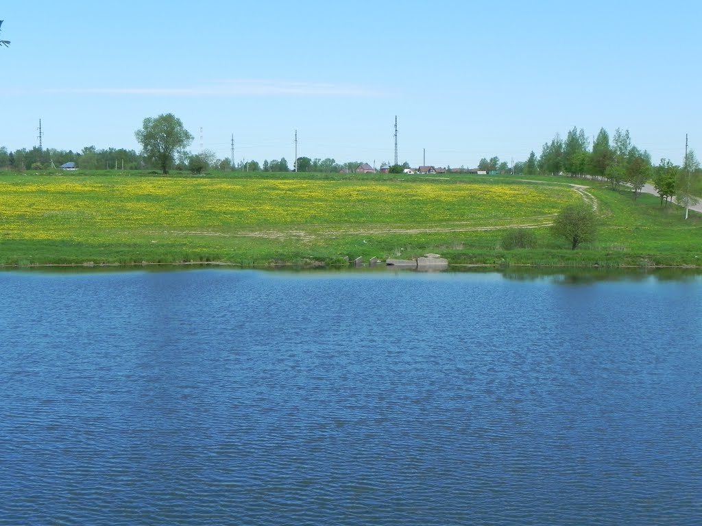 Софрино: блакитно-жовтий.