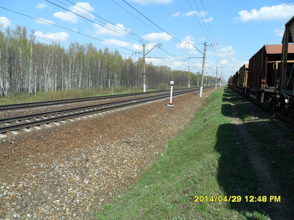 м
