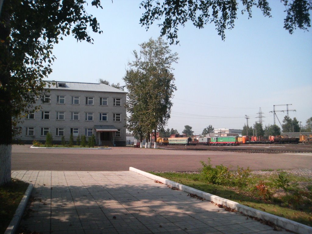 Пмс 58