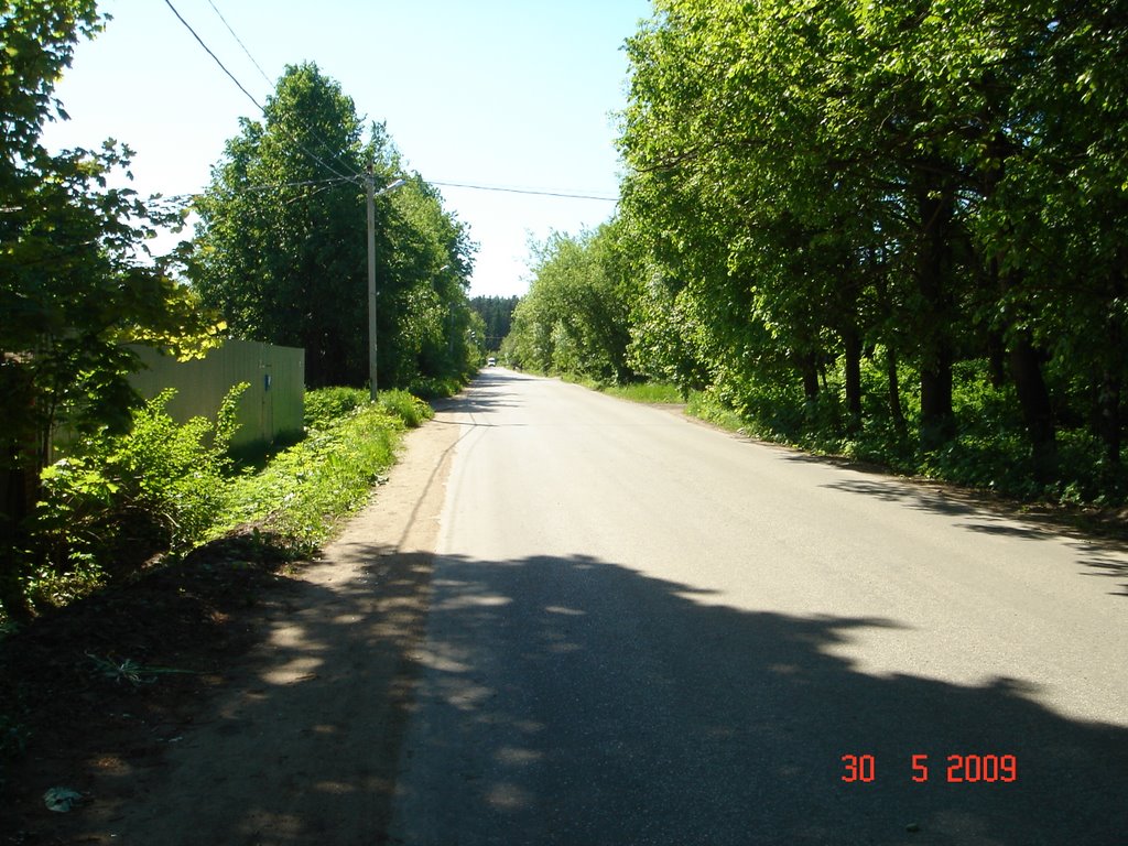 Софрино, улица Садовая