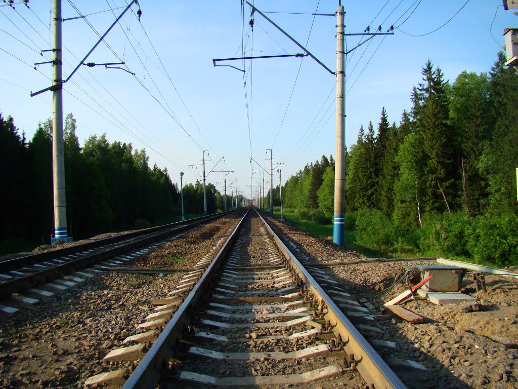 Железнодорожный переезд 43 км. Вид на Софрино / Railroad crossing 43 km. View on Sofrino