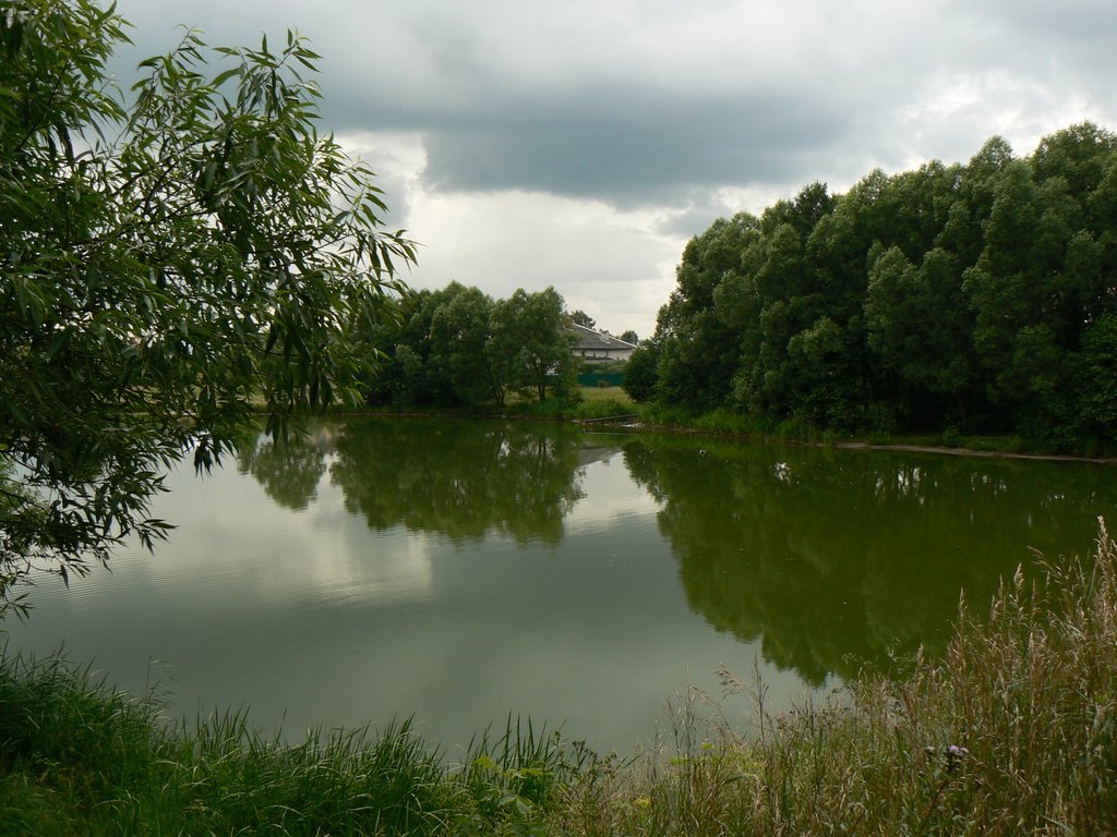 Kupavna