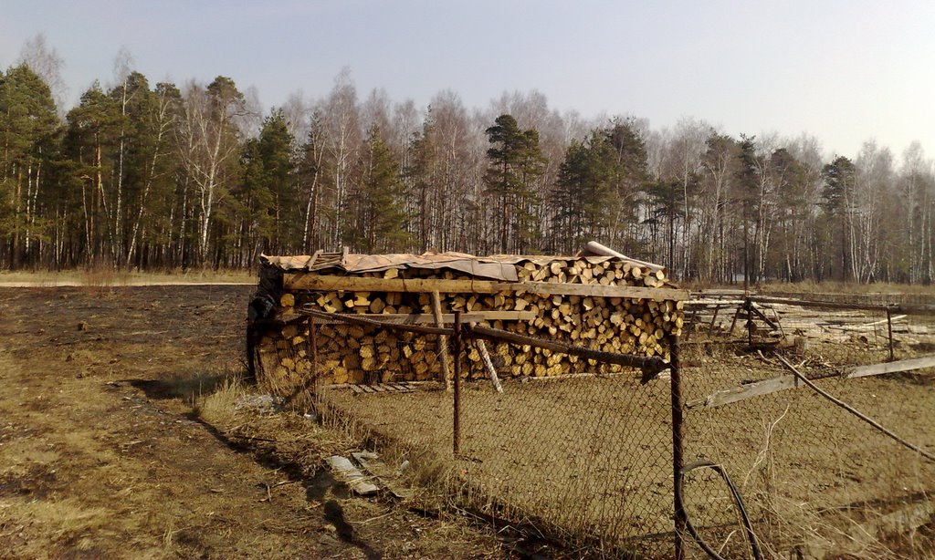 дрова