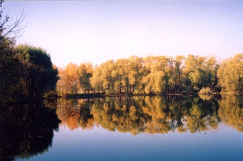Золотая осень. Старый пруд.