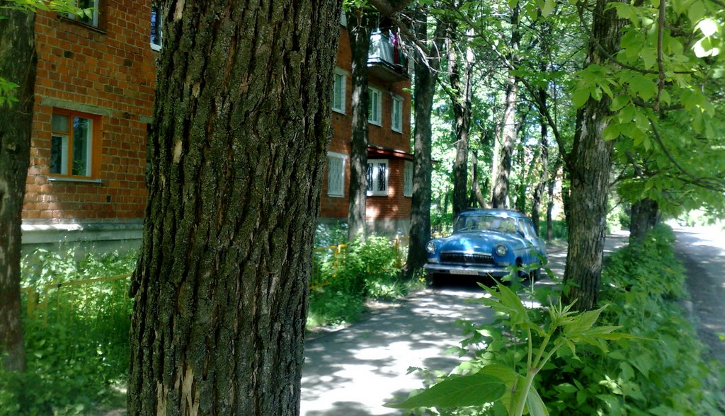 Grebnevo
