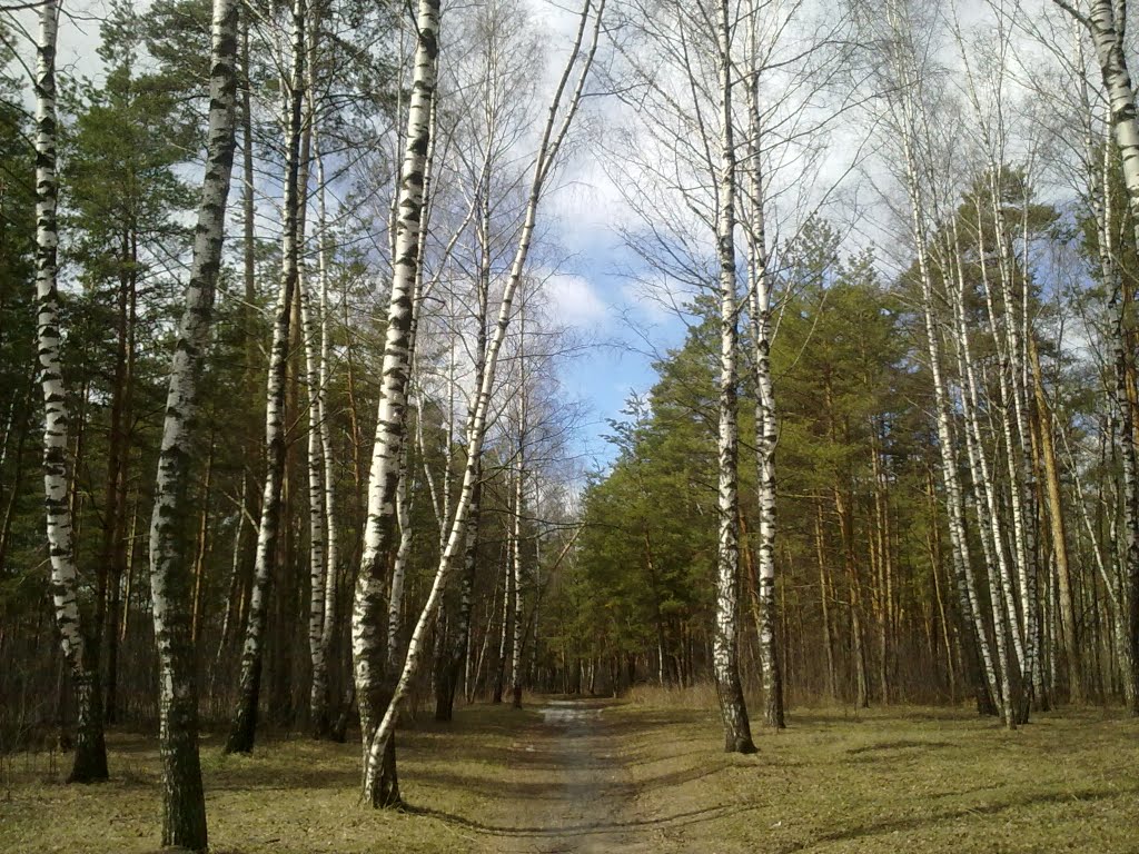 Парк Бабкина Дача весной.