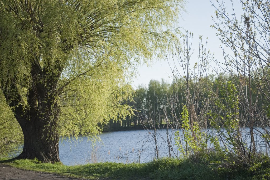 р. Купавинка
