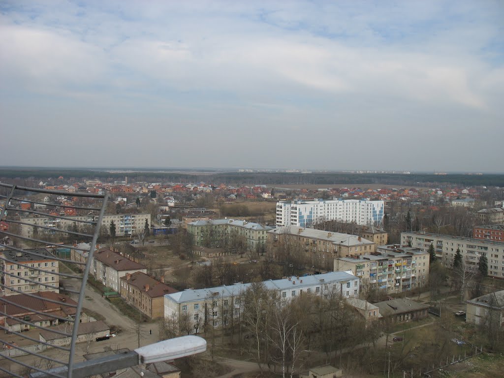Старая Купавна