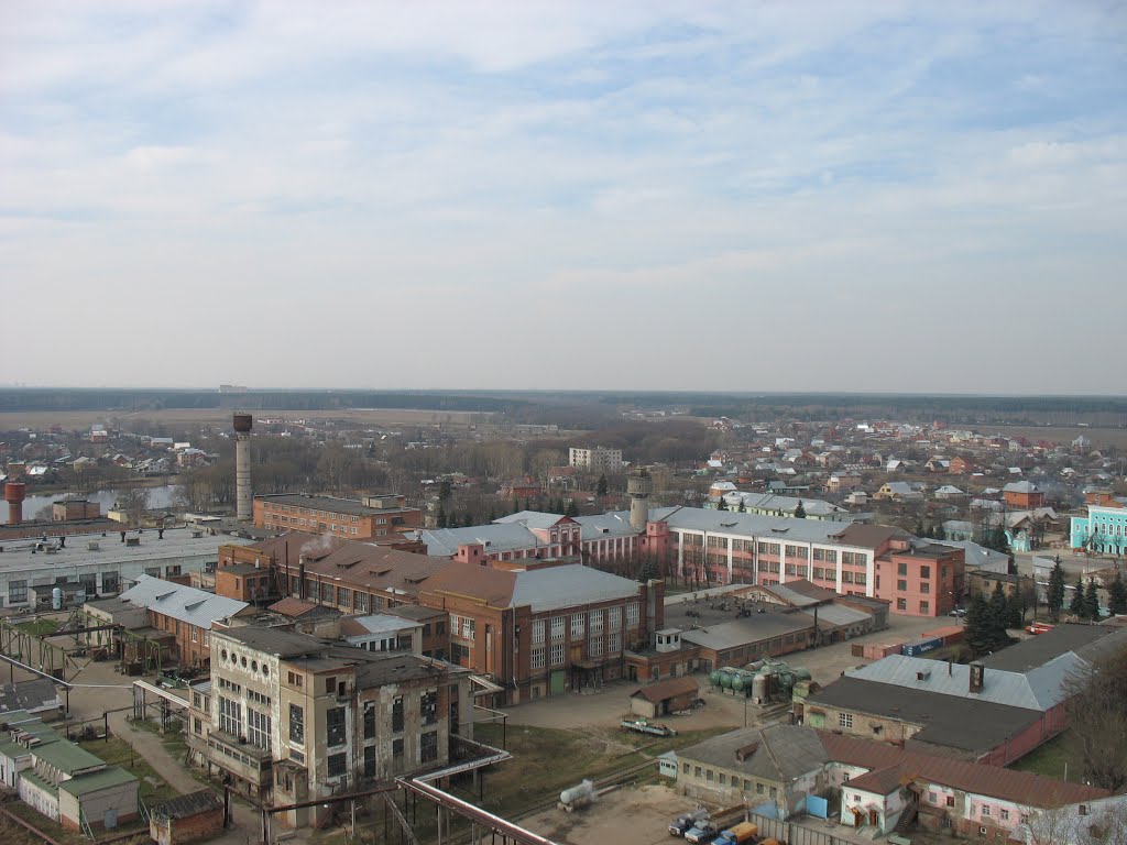 Старая Купавна