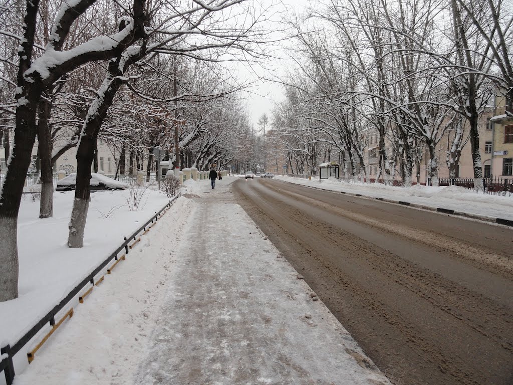 Химки