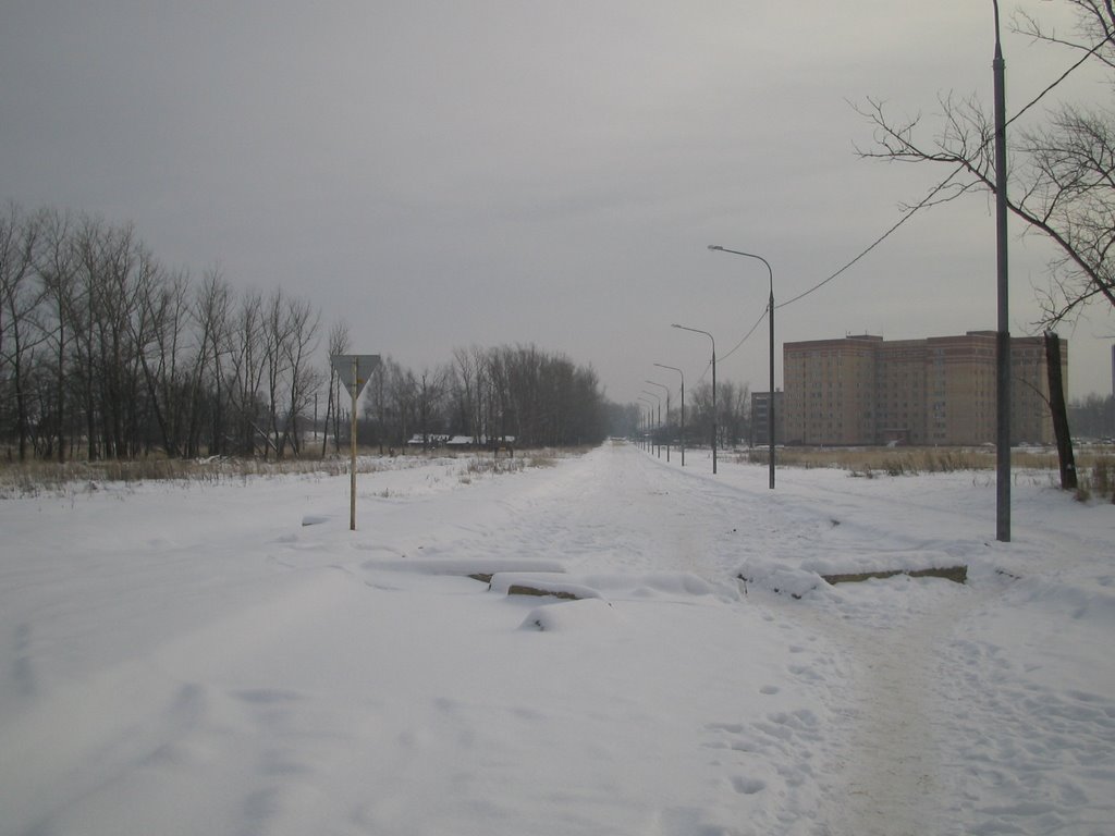 Ступино