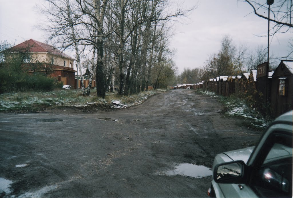 ул.Чкалова (1)