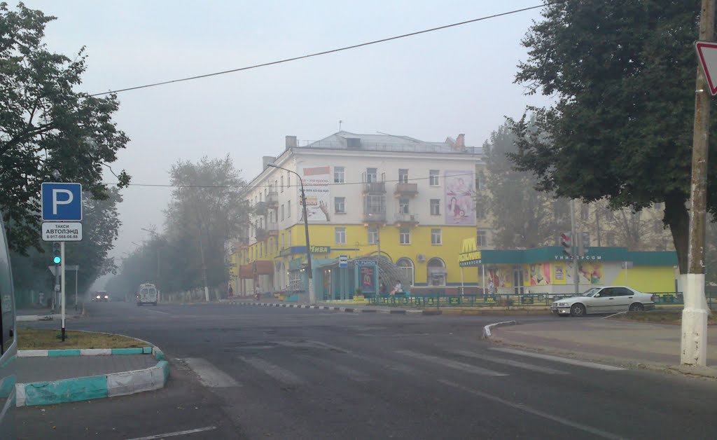 ул.Пушкина /ул.Горького