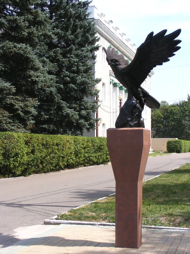 Сокол