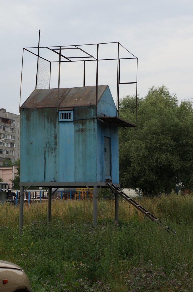 Голубятня foto-planeta.com