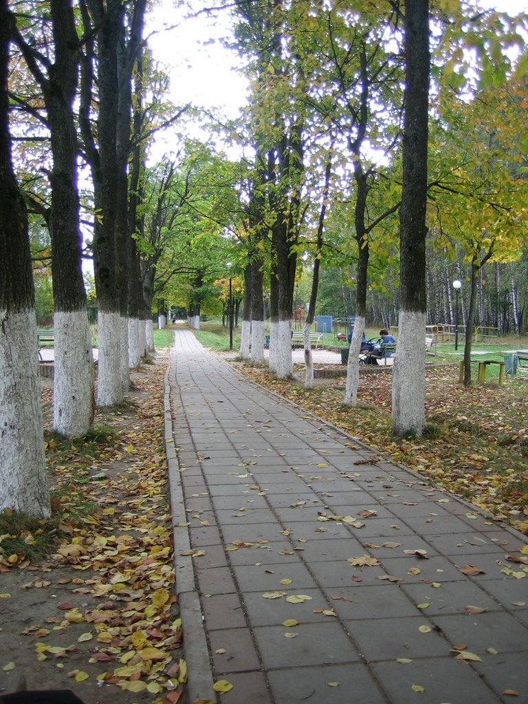 Наш парк