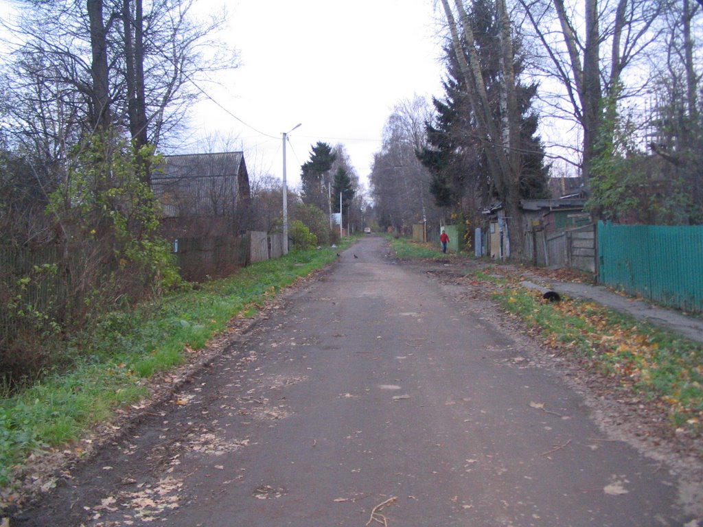 Первый Мичуринский тупик. Ноябрь 2006.