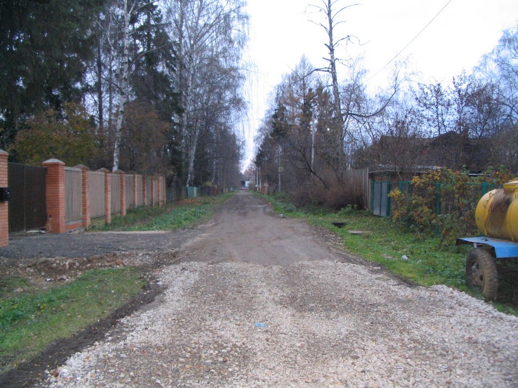 Тупик Первого Мичуринского тупика :). Ноябрь 2006.