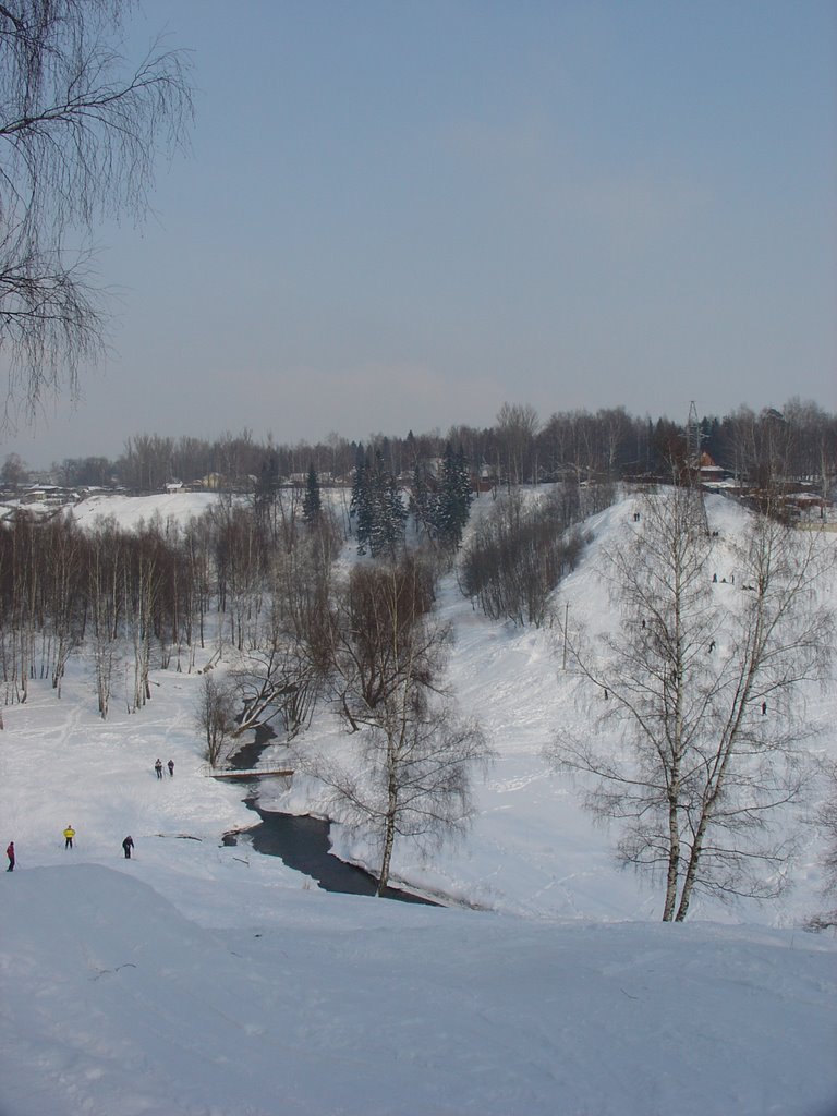 Near Skhodnya, Guchkovka