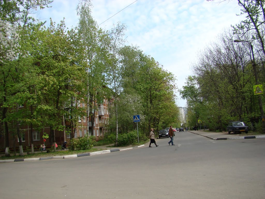 Химки, мкр. Сходня, улица Чапаева.