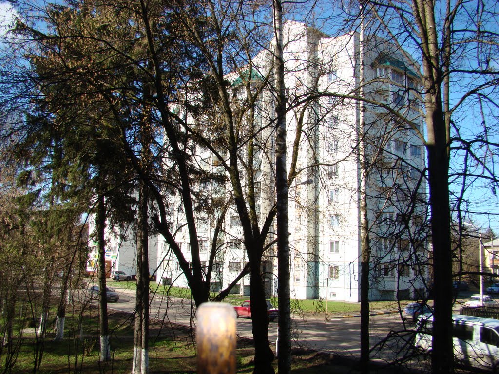 Химки, мкр. Сходня, Улица Первомайская