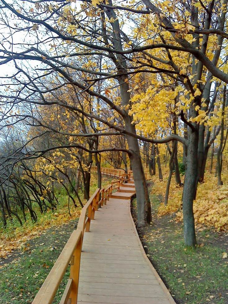 Valley of river Shodnya