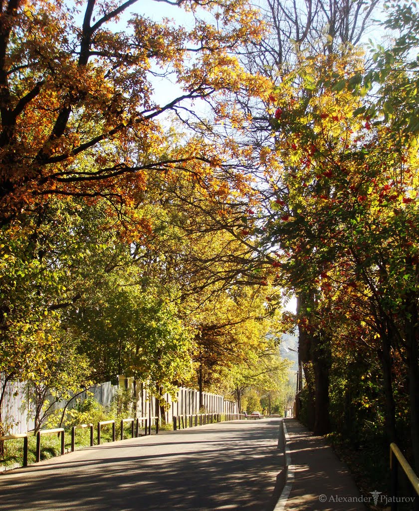 Осень/Autumn (по дороге в Пусково)
