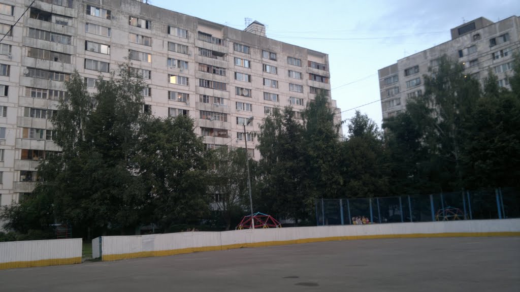 Двор около улицы Мичурина