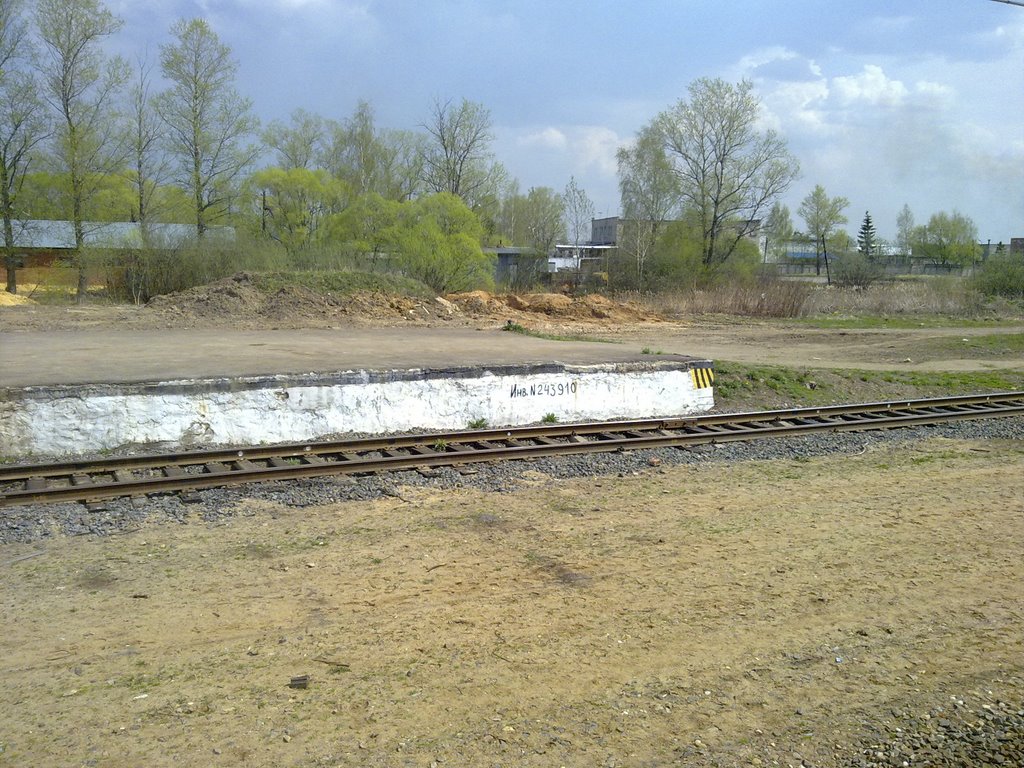 Инв. N 243910