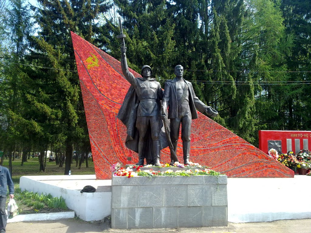 Памятник воинам-освободителям, 9 мая 2010