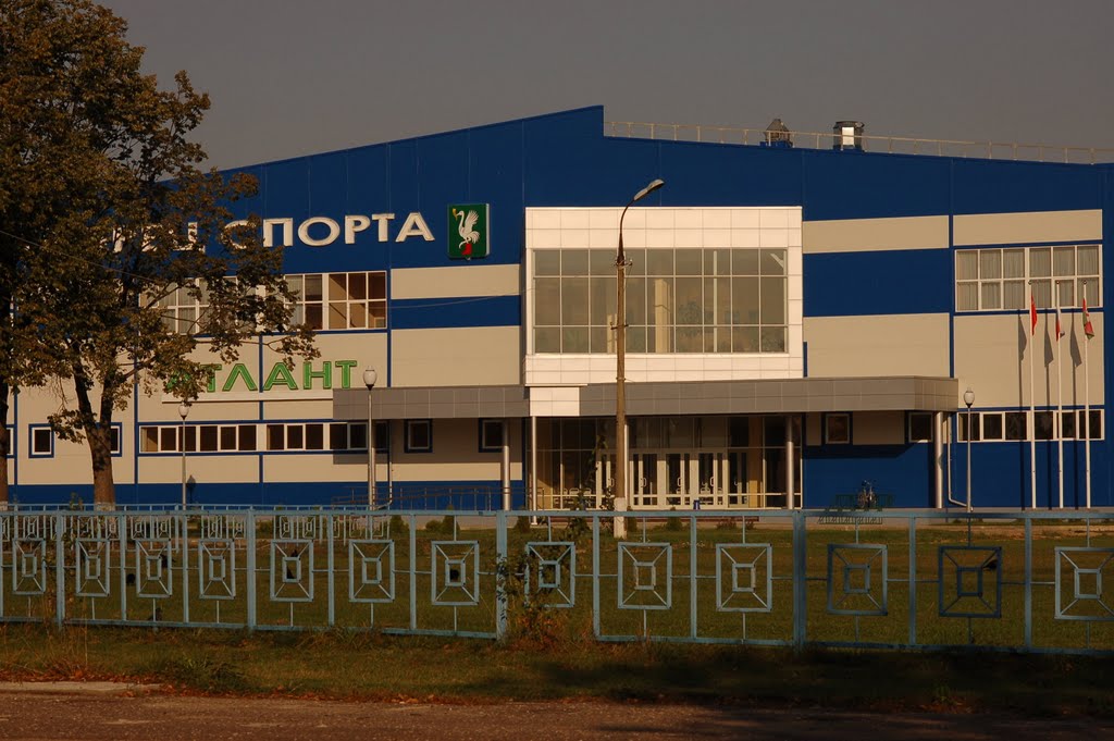 дворец спорта "Атлант"