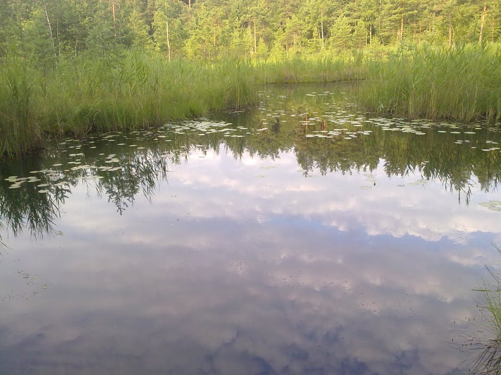 болото