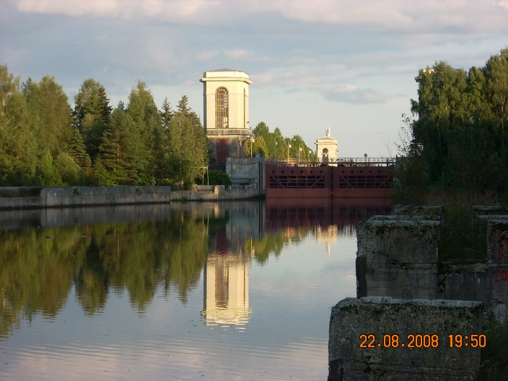 Шлюзовые ворота