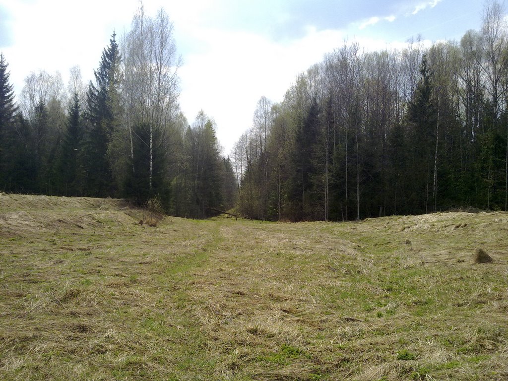 Старая дорога