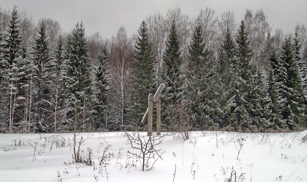 Остатки ЛЭП