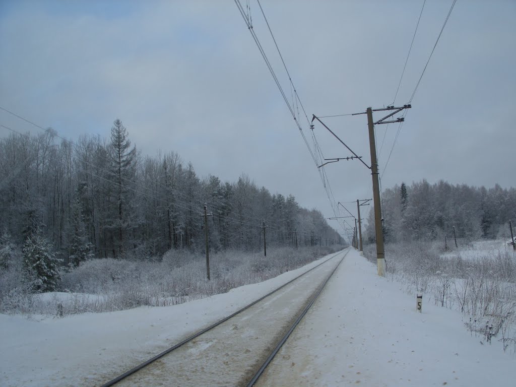 Le chemin dhiver (3)
