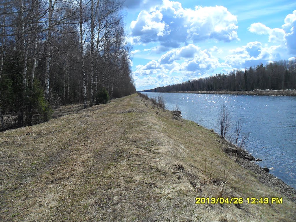 м