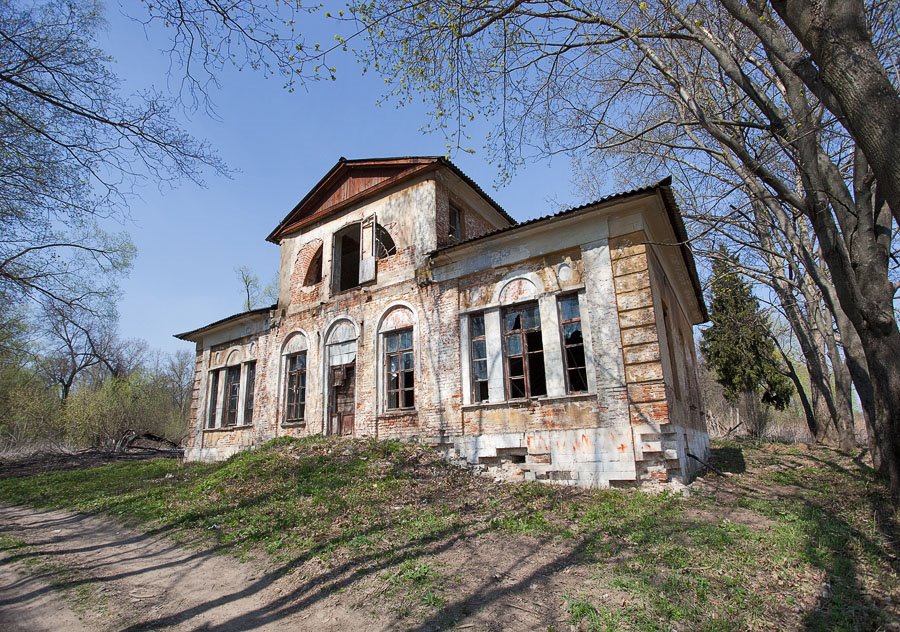 остатки усадьбы: господский дом
