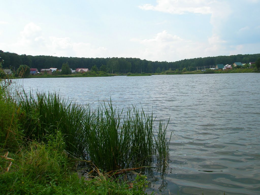ОСТРОВ