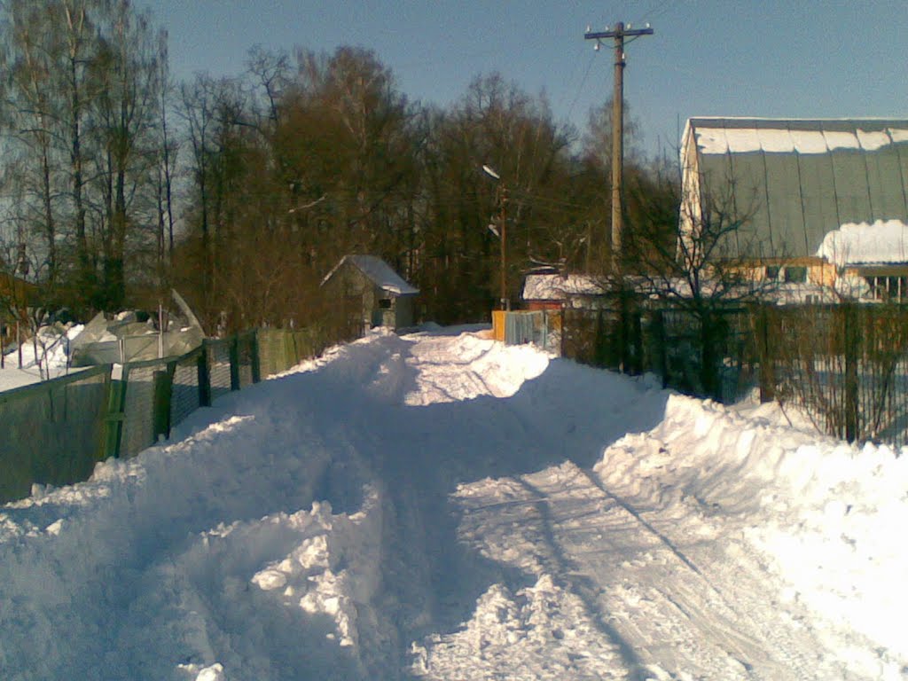 Зимний вид